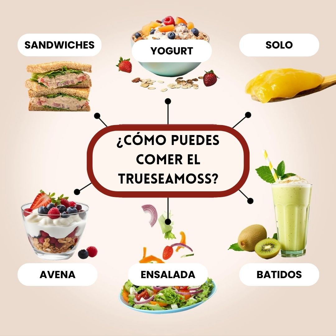 TRUE SEA MOSS® - SUPLEMENTO ALIMENTICIO DE MUSGO MARINO