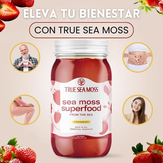 TRUE SEA MOSS® - SUPLEMENTO ALIMENTICIO DE MUSGO MARINO