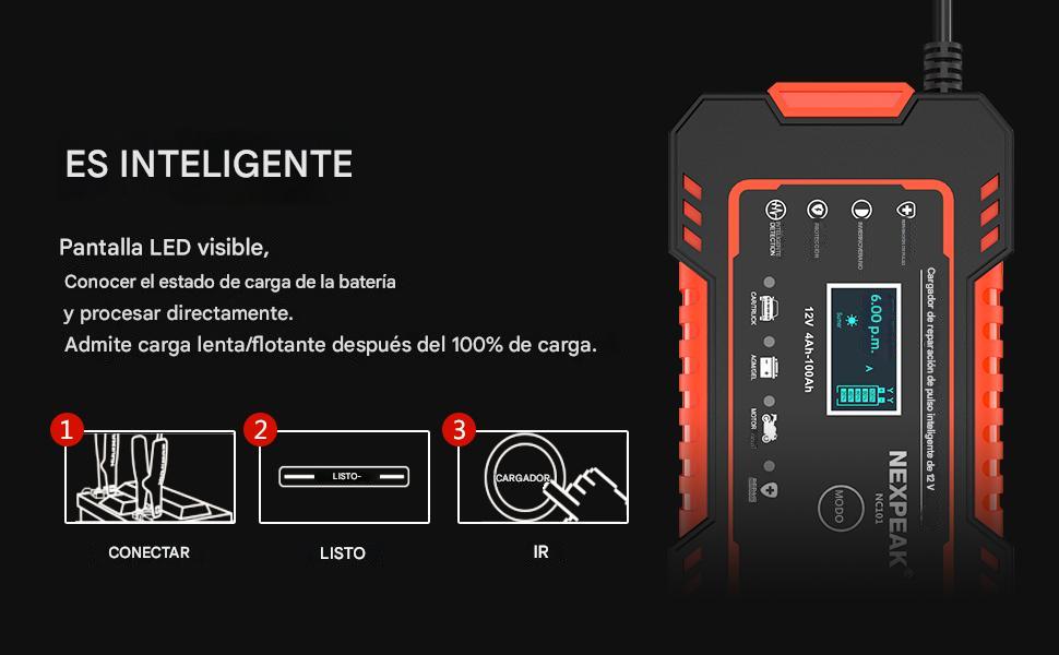 CARGADOR DE BATERÍA PARA CARRO