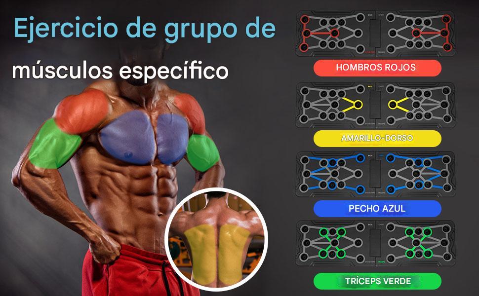 Tabla Flexiones Push Up®